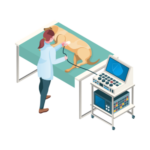 ultrasonido veterinario